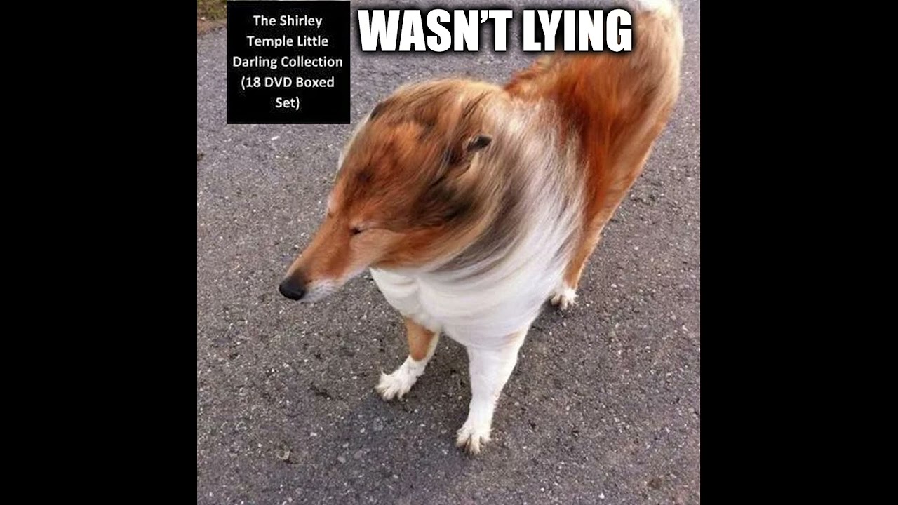 THAT SHIRLEY TEMPLE DVD BOX SET WASN'T LYING