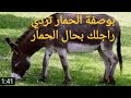 ردي راجل بحال حمار أر أر ش ا ش ا 