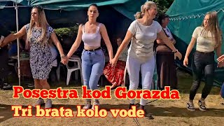 😻 Tri brata kolo vode💃Posestra kod Goražda💃Irfan, Reva i Midho💃YouTube Bosanski teferič💃