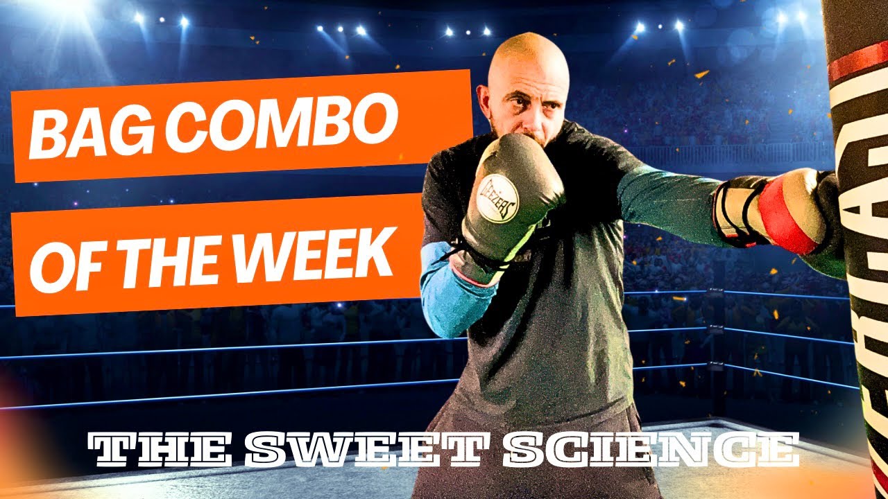 Defensive heavy bag drills for beginners/ how to/ tutorial YouTube