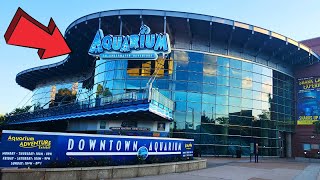 Downtown Aquarium Denver Colorado Full Tour