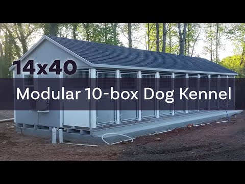 14x40-modular-10-box-custom-dog-kennel