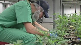 Ohio patients will soon be able to legally buy medical marijuana