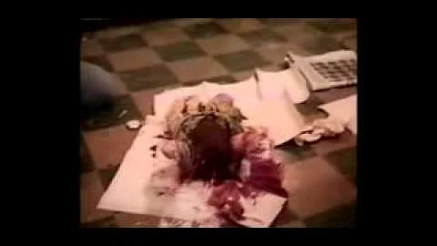 The Making of "The Evil Dead II" (1987) aka "The G...