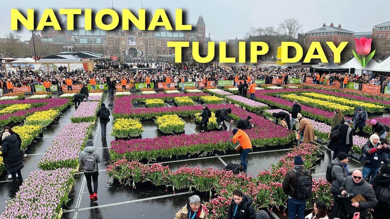 Marijke Walks In Amsterdam is live