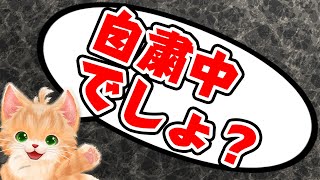 やばいネット警察みたいなことを言うネコが面白過ぎる『 ネコ・トモ 』 screenshot 5