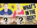 WHATS IN THE BOX CHALLENGE! (DAY 204)