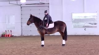 USPC LSR D3 Riding Test Expectations