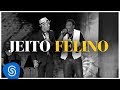 Raça Negra - Jeito Felino - Part. Belo (DVD Raça Negra & Amigos) [Video Oficial]