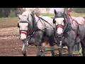 Horse Drawn Equipment-Taylor Horsefest