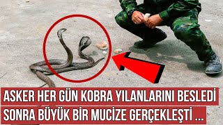 Acemi Asker Her Gün Kobra Yılanlarını Besledi, Sonra Büyük Bir Mucize Gerçekleşti