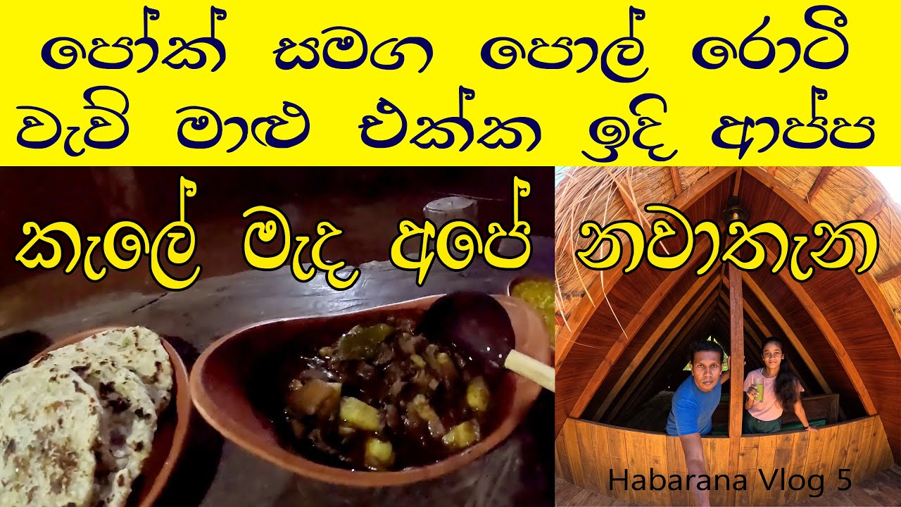 හබරණ කැලේ මැද රසට කාපු කෑම😍 Pork With පොල් රොටි🍽 Habarana Echo Lodge 👍@travelwithlahiru