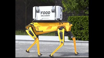 The Double-Edged Sword of Robotic Automation