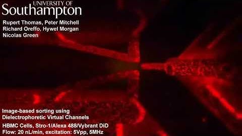 Microfluidic cell sorting using Dielectrophoretic Virtual Channels