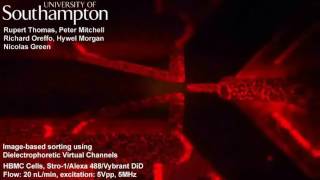 Microfluidic cell sorting using Dielectrophoretic Virtual Channels
