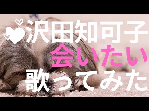 沢田知可子の名曲　会いたい　歌ってみた