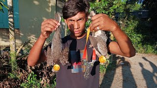 bird hunting with slingshot.পাখি শিকার সিলিংসট দিয়ে। screenshot 2