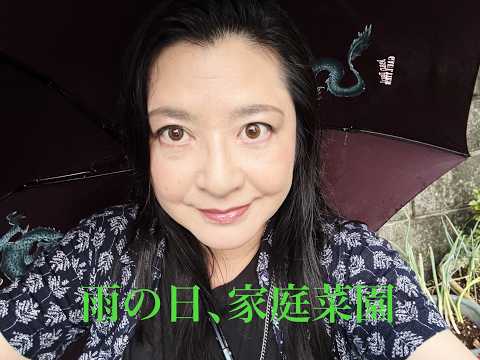 庭にはシソがボウボウ