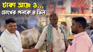 Akram Bhai bought 4 bulls and cows in the blink of an eye! 🔥😲 | Gabtoli Haat 24 February 2026
