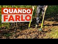 Quando devi VANGARE la TERRA? Le 2 CONDIZIONI essenziali