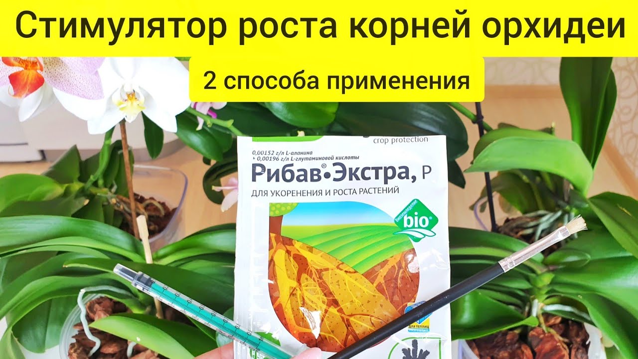 РИБАВ ЭКСТРА для орхидей || Два способа ПРИМЕНЕНИЕ рибав-экстра для ...