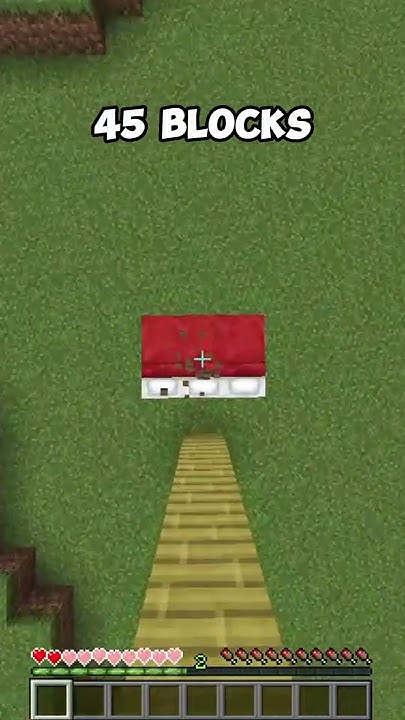 MINECRAFT How Many Blocks Can You Survive minecraft shorts minecraft-how-many-blocks-can-you-fly-with-tnt-shorts-minecraft