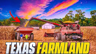 See What $127 Million Acres Of Texas Farmland Have To Offer! | American Farming