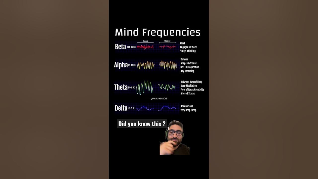 The mind frequencies #brainwaves #humanmind #meditation #alphawaves #betawaves