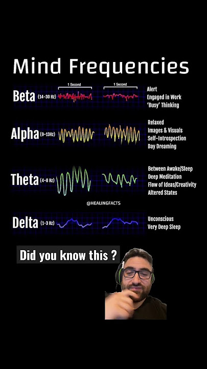 The mind frequencies #brainwaves #humanmind #meditation #alphawaves #betawaves