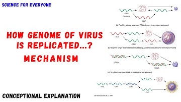 Viral Genome Replication | How Different Viral Genomes are Replicated ? | Clear your Confusions