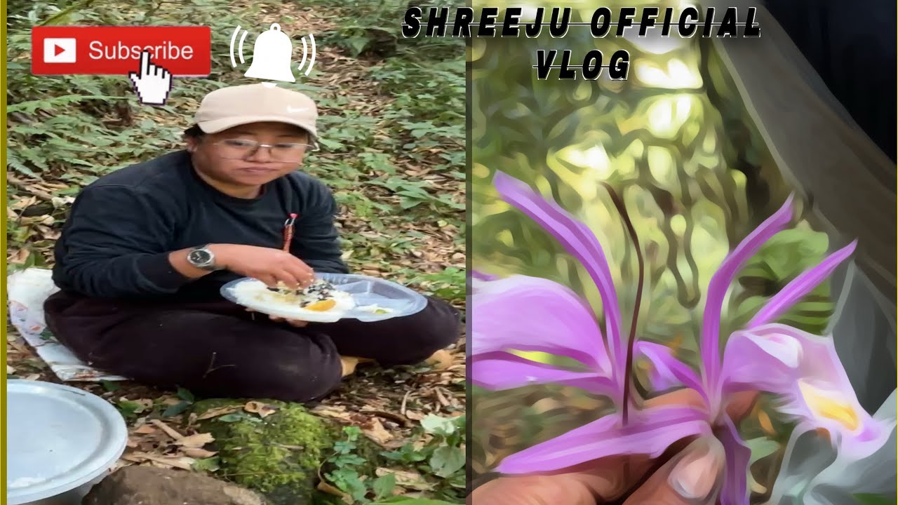 जङ्गल तिर काम गर्दै खान खानुको मजा छुट्टै#youtube #pleasesubscribe 