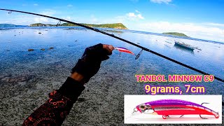 New Tandol Minnow Lure Field Test❗Sari-saring isda Kumakagat - Shore Casting