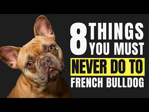 8 Things You
