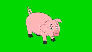 Pig Green Screen | Green Sreen Pig | Green BackGround Screen (No Copyright)