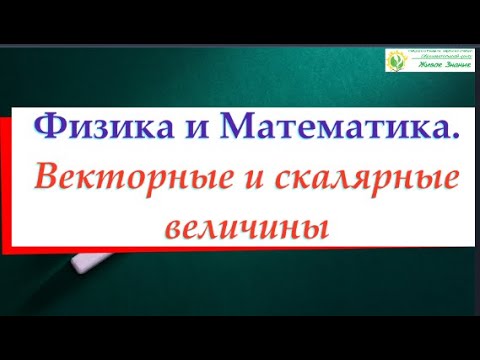 Векторные и скалярные величины. Физика и Математика