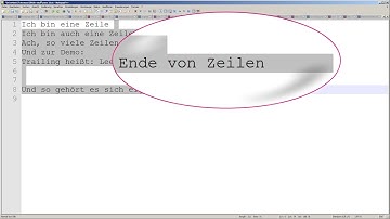 Feature Picking: Nieder mit den Trailing Spaces mit Notepad++ - S01E10