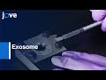 Exosomes to Transfer Mammary gland forming Ability | Protocol Preview