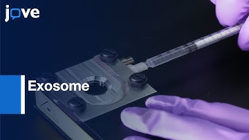 Exosomes to Transfer Mammary gland forming Ability | Protocol Preview