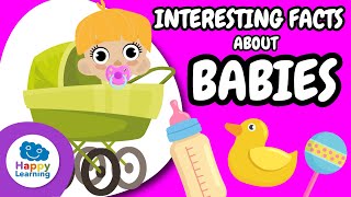 amazing facts about babies educational videos for children happylearningeng