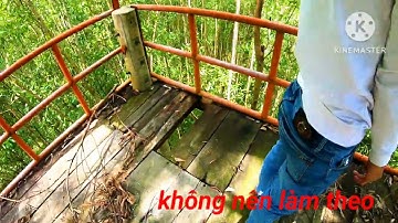 Những địa điểm ngắm cảnh tuyệt đẹp tại trà bồng quảng ngãi 