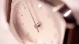 slow Mo 08 - Dark Brown Leather, Silver Case, Cream Dial