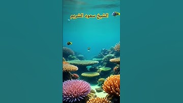 تلاوة خاشعه /#الشيخ_سعود_الشريم #راحه_نفسيه #اكسبلور#تلاوة_خاشعة