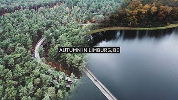 Cycling Through the Water and Trees | Autumn in Limburg, BE