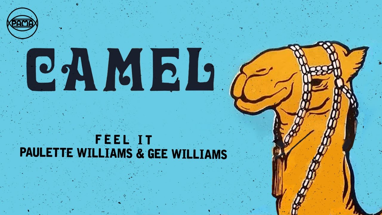 Paulette Williams and Gee Williams - Feel It (Official Audio