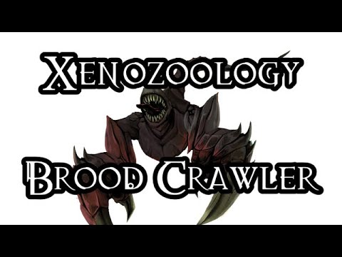 Download Xenozoology: Brood Crawler - 40K Theories