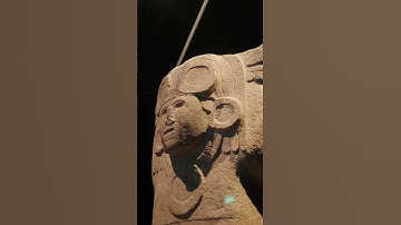 Your journey to wonderland is just one click away!