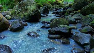 Nocturnal Blue Water Creek Flow 💤 Gentle Nature White Noise for Insomnia Relief