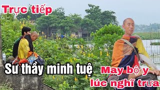 sư minh tuệ may y phục lúc nghĩ trưa