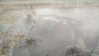 картинка: ДРАГЛАЙН ЭО-4212