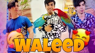 Waleed Before Than After Sw Pet House